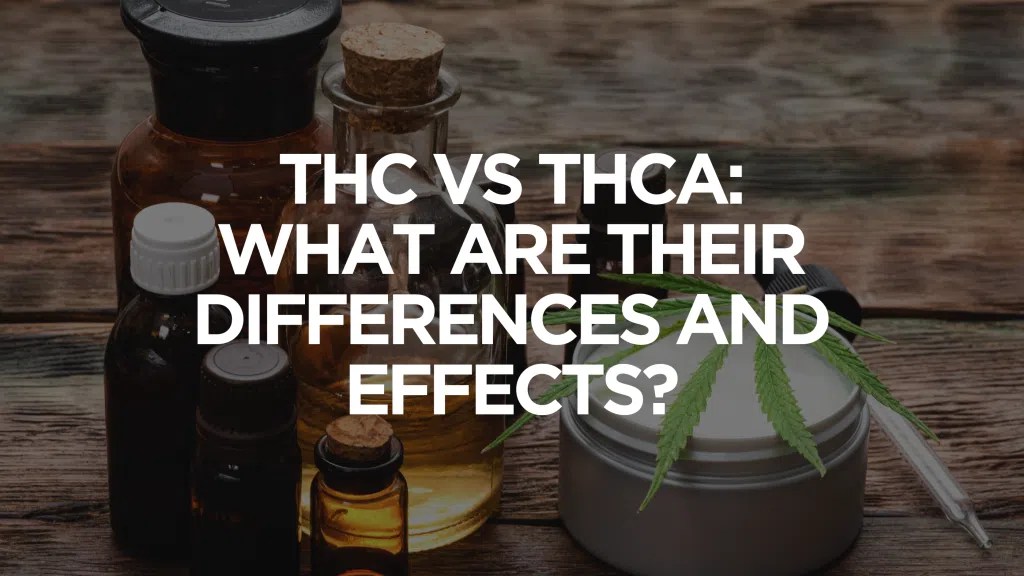 THC Vs THCA What Are Their Differences And Effects?