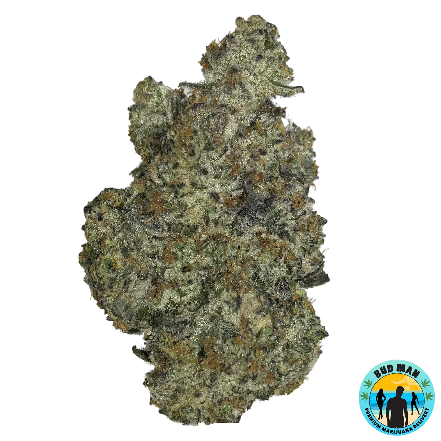 Cocoa Kush (32.9 THC premium) Bud Man Orange County Dispensary Delivery