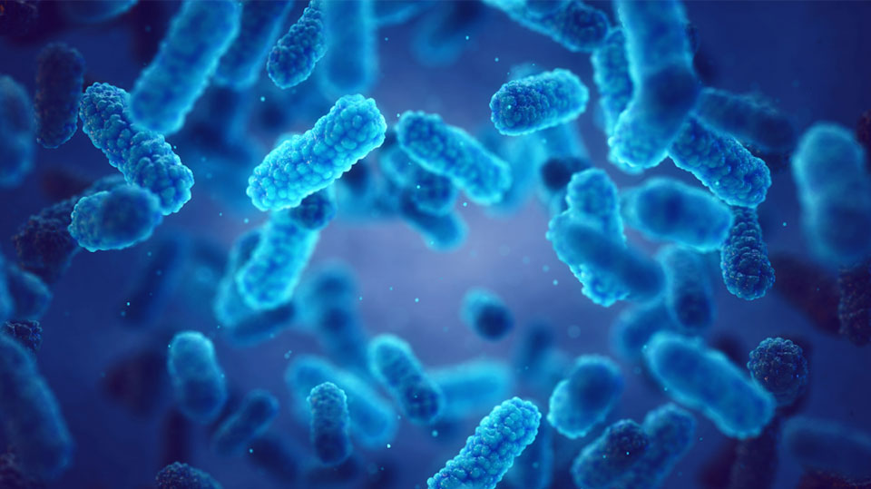 Disinfection Methods in Aquaculture Budmore