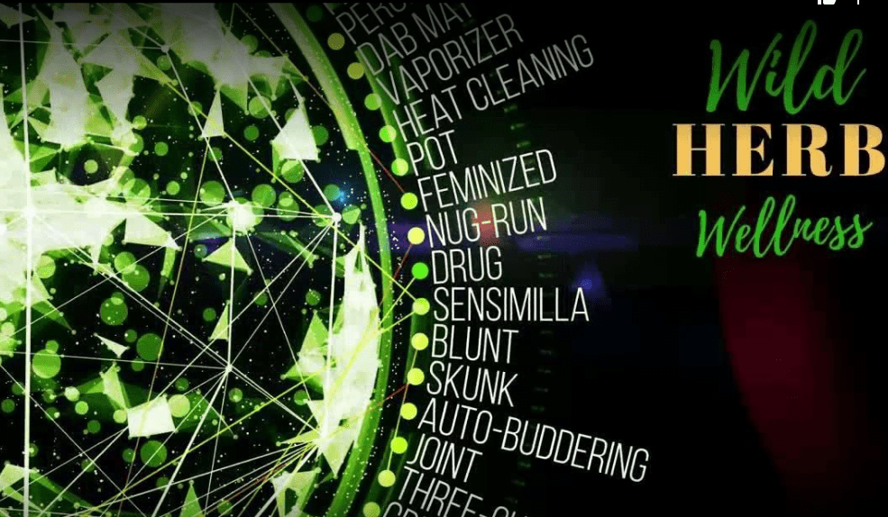 Wild Herb Wellness Dispensary Reviews and Information Find Local