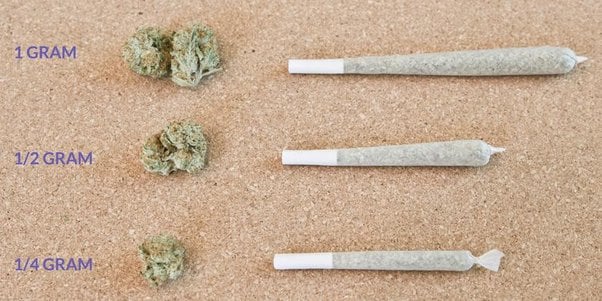 Cannabis Measurements Guide: Weights, Costs, and More - Bud's Goods