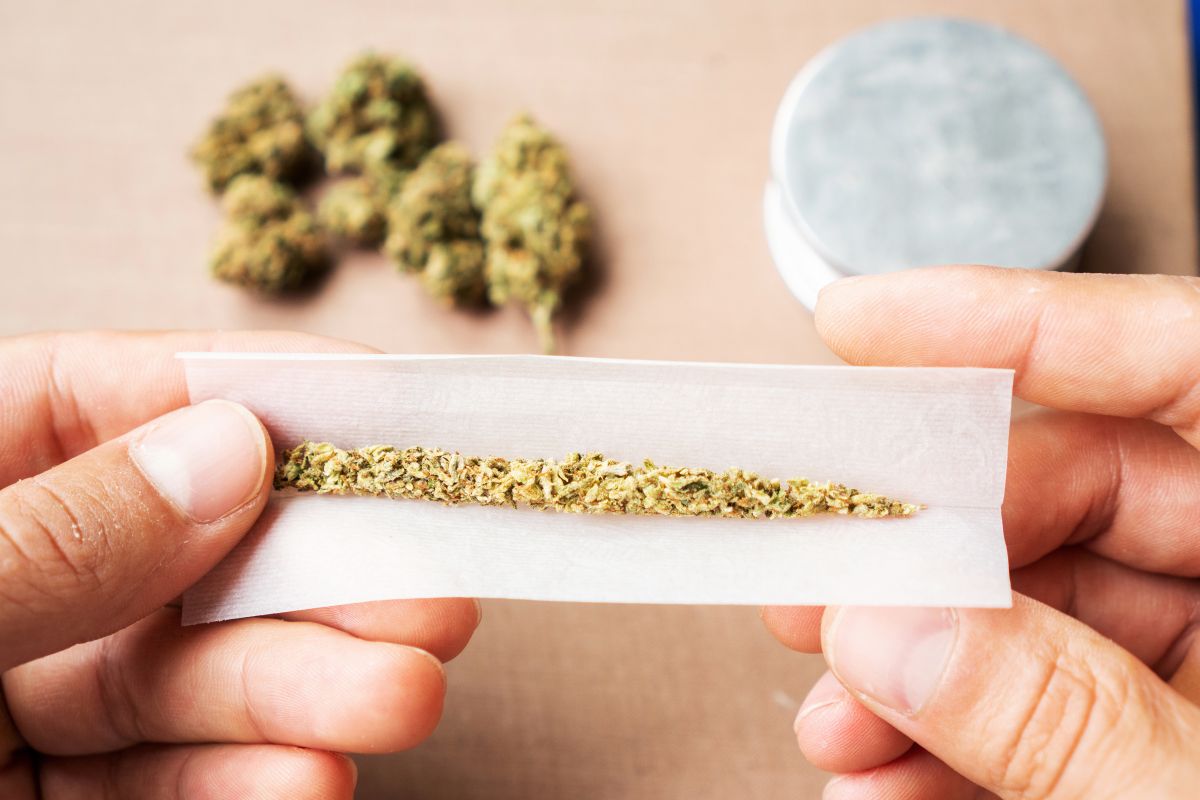 How To Use A Joint Roller BudWinners