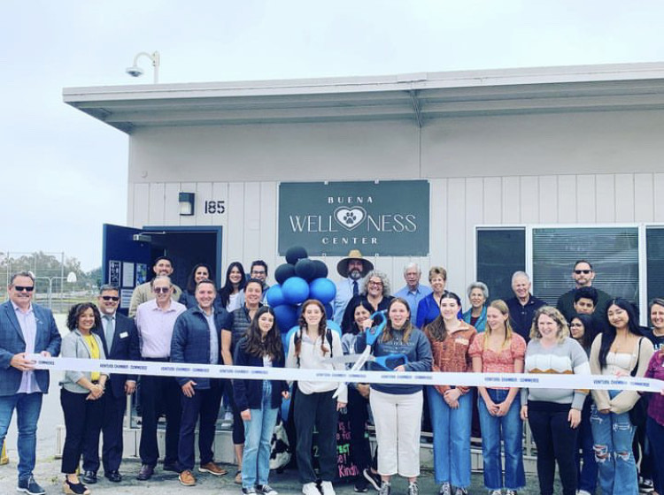 3 Hidden gems of the Wellness Center Buena Speaks