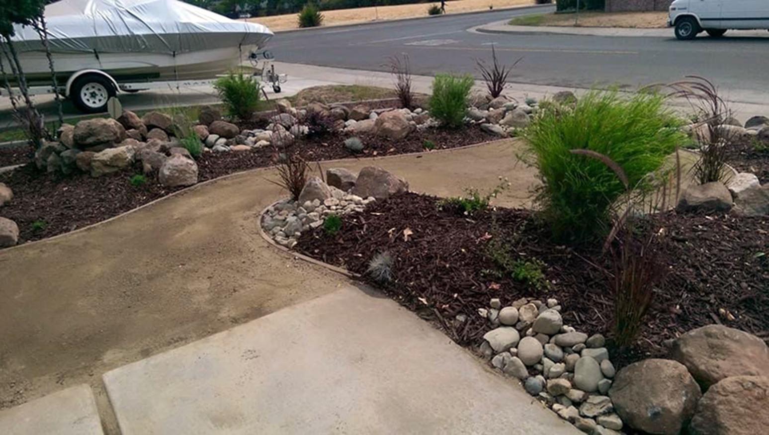 Buena Vida Scape Gallery Buena Vida Scape