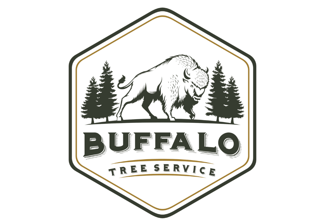 Exploring the Hidden Gems of Amherst, NY