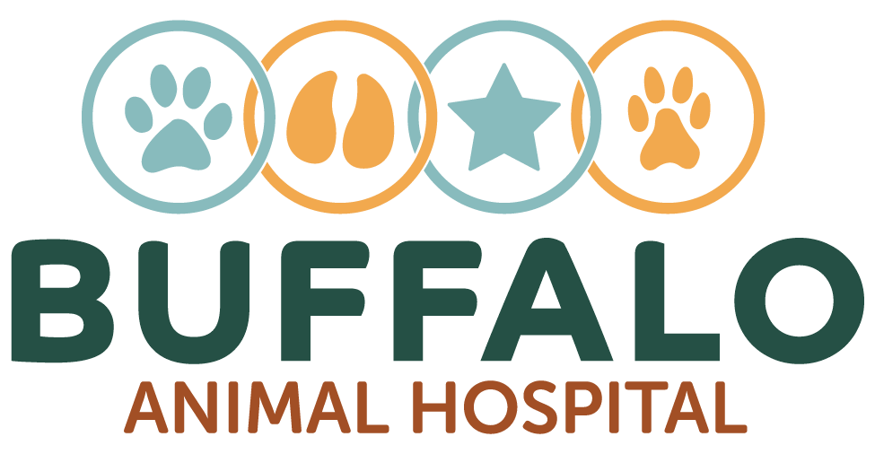 Vet Near 75831 About Buffalo Animal Hospital In Buffalo, TX