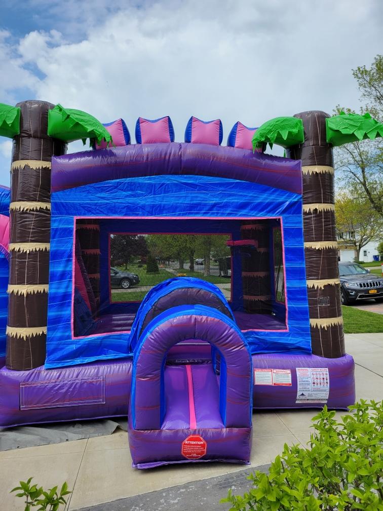 Buffalo Bounce House Inflatable Slide