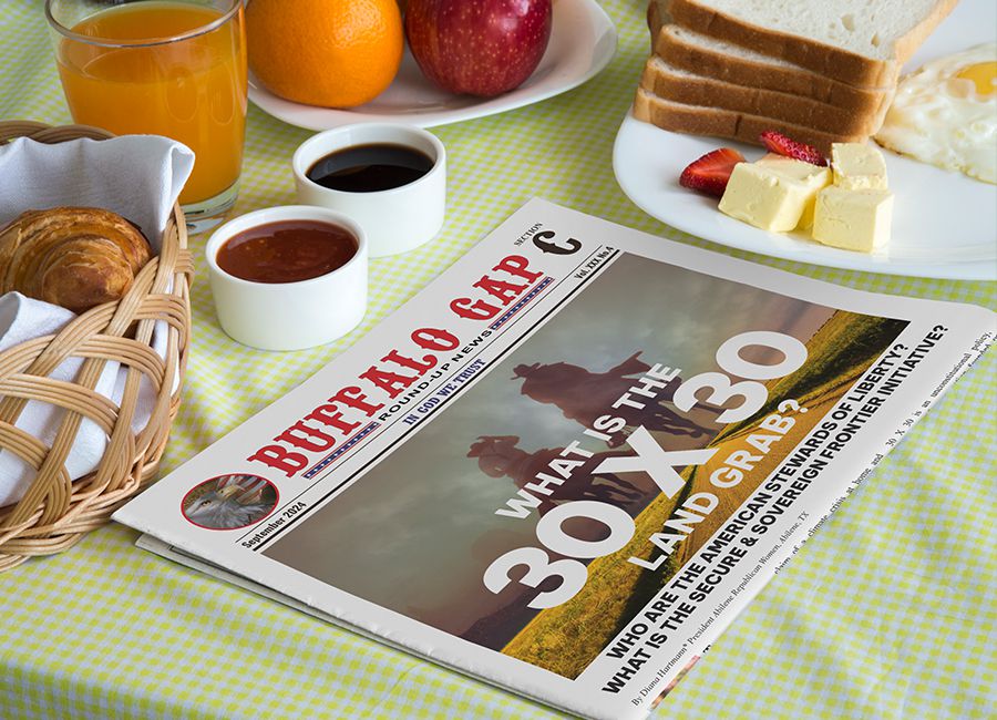 Buffalo Gap RoundUp News Official Site!