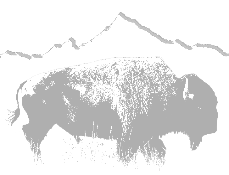 Buffalo Hump Solutions PLLC Buffalo Hump Solutions PLLC