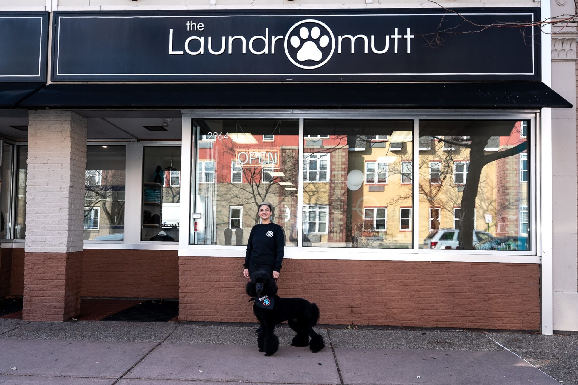 Laundromutt Dog Grooming Salon and Daycare in Buffalo, NY