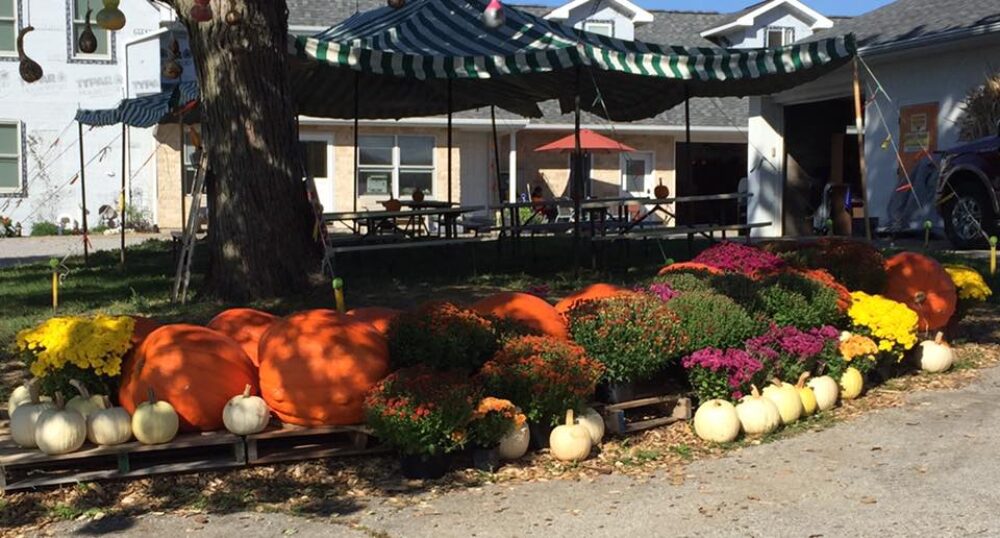 About Buffalo Pumpkin Farm and Market