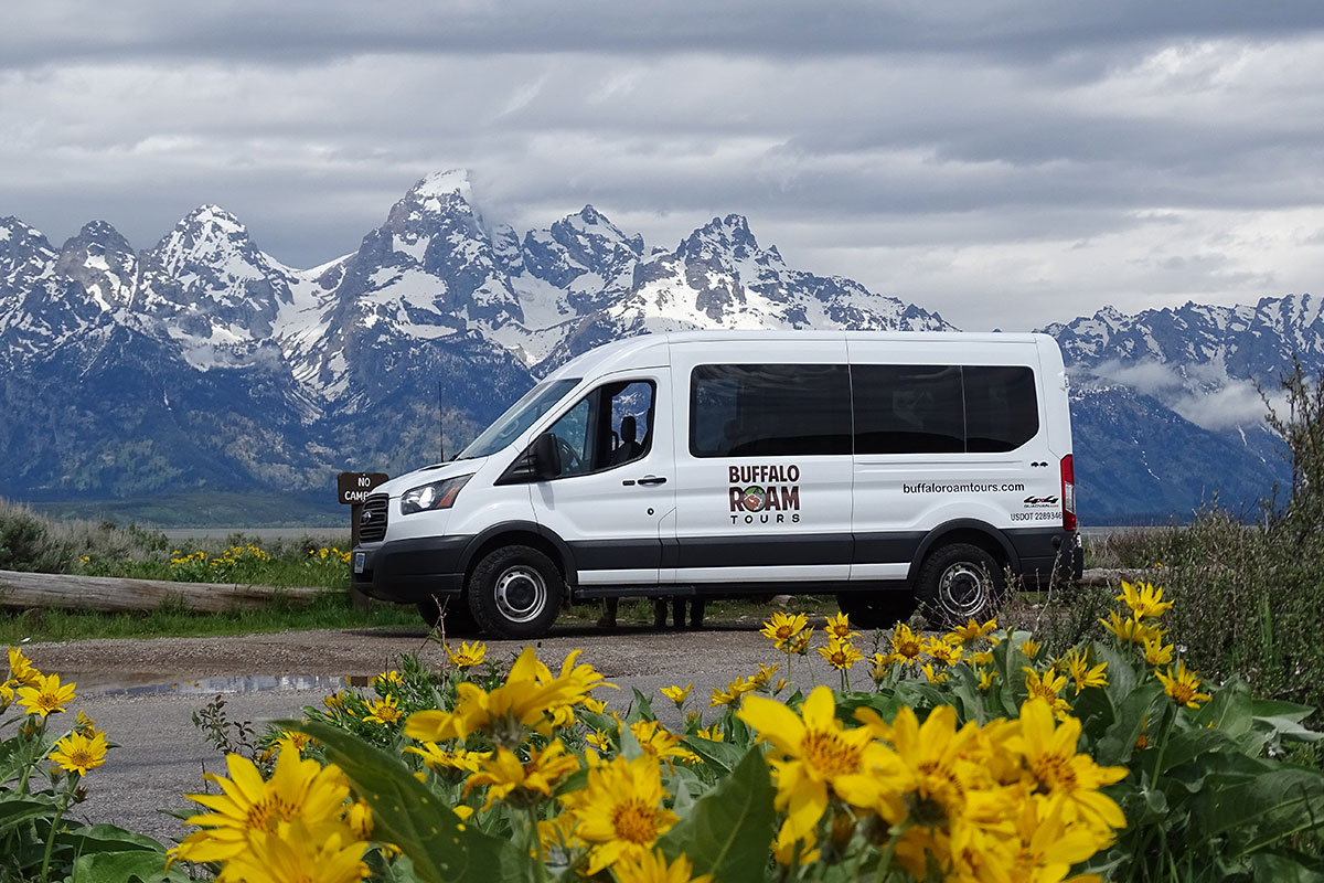 Grand Teton Private OneDay Tours Buffalo Roam Tours