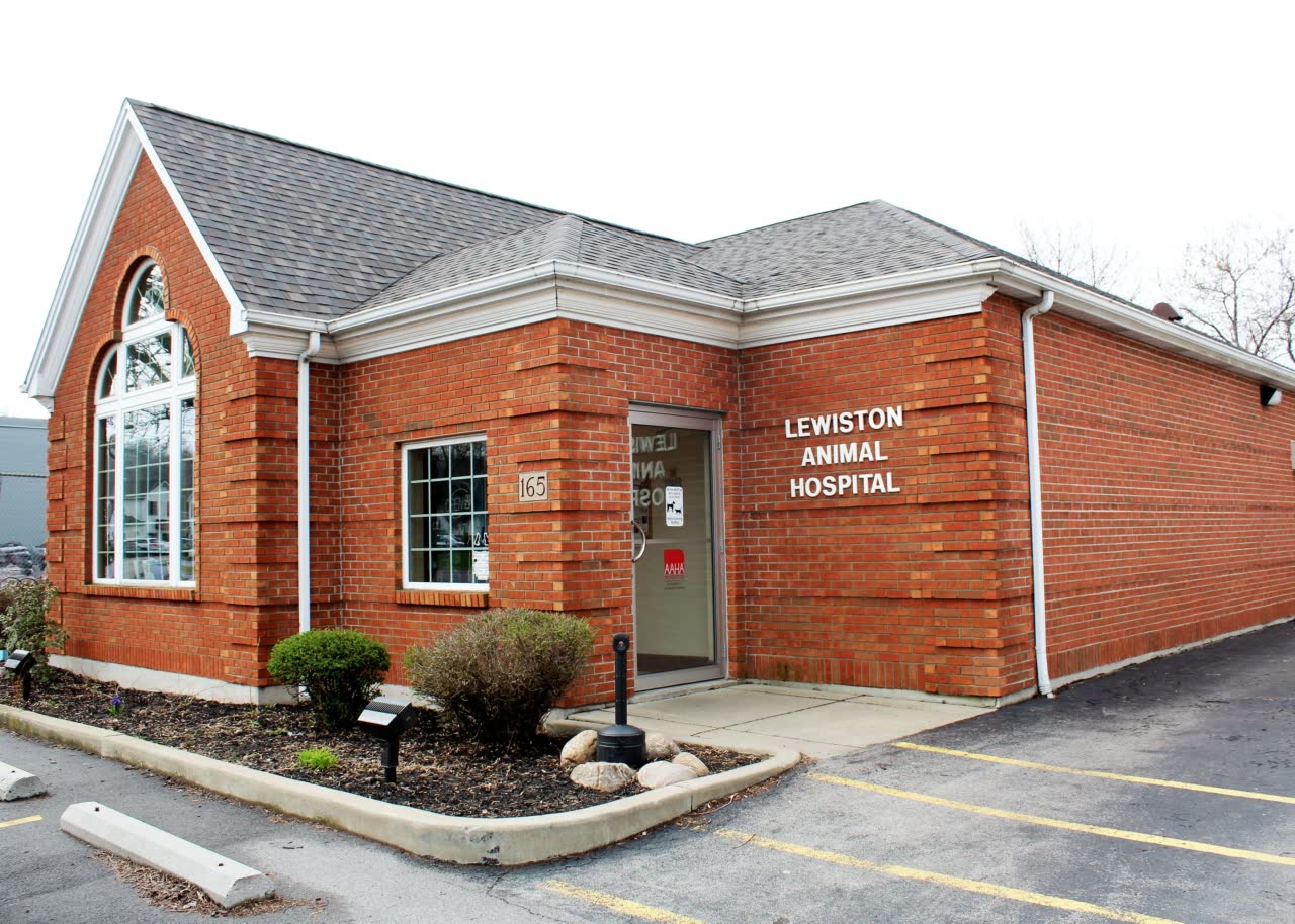 Our Animal Hospitals Buffalo Veterinary Group