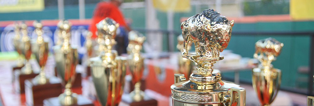 buffalo wing festival 2023 Home The National Buffalo Chicken Wing Festival