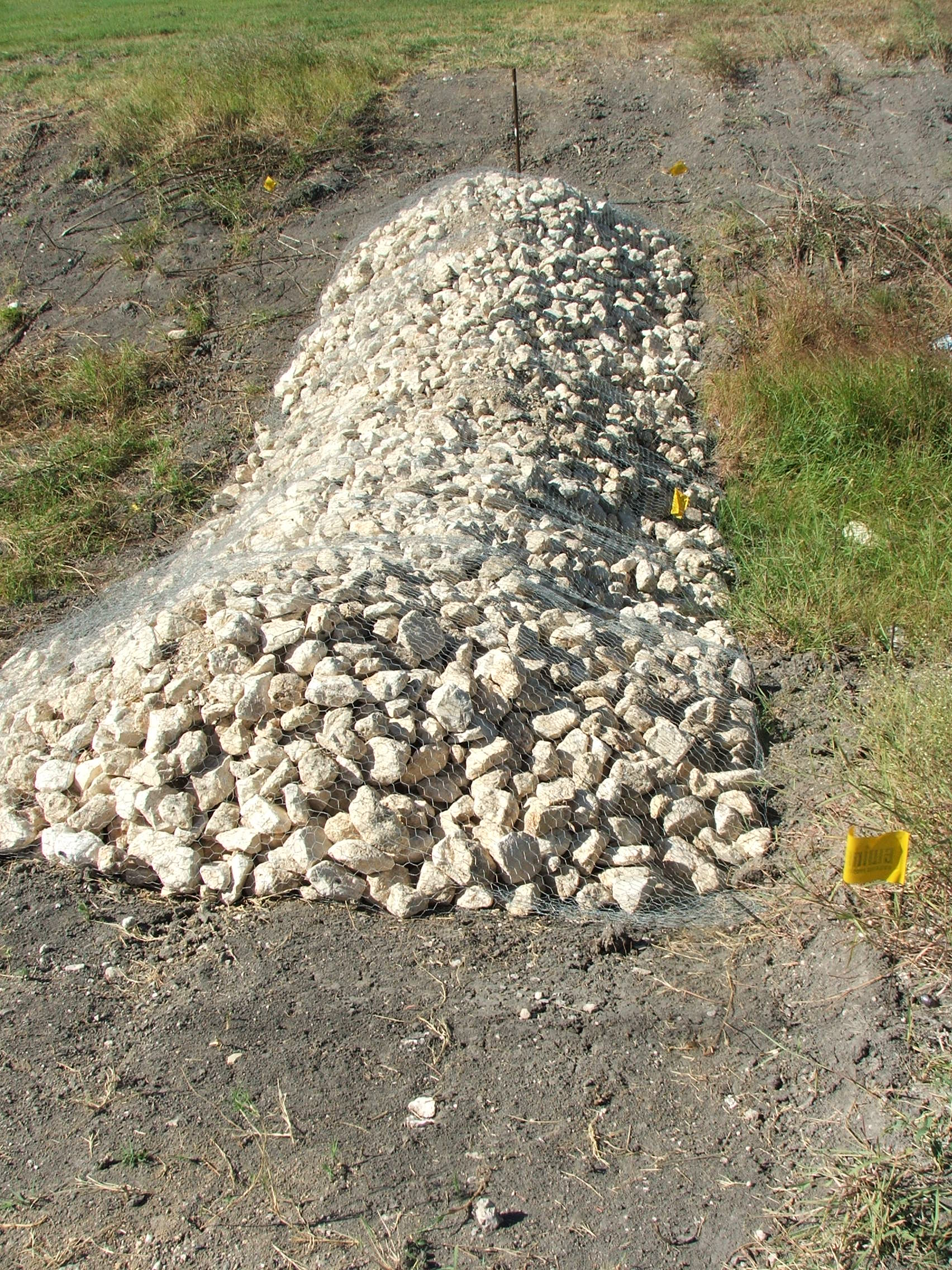 ROCK FILTER DAMS Buffel Grass Seed Company