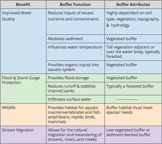 Buffer Basics Buffer Options for the Bay