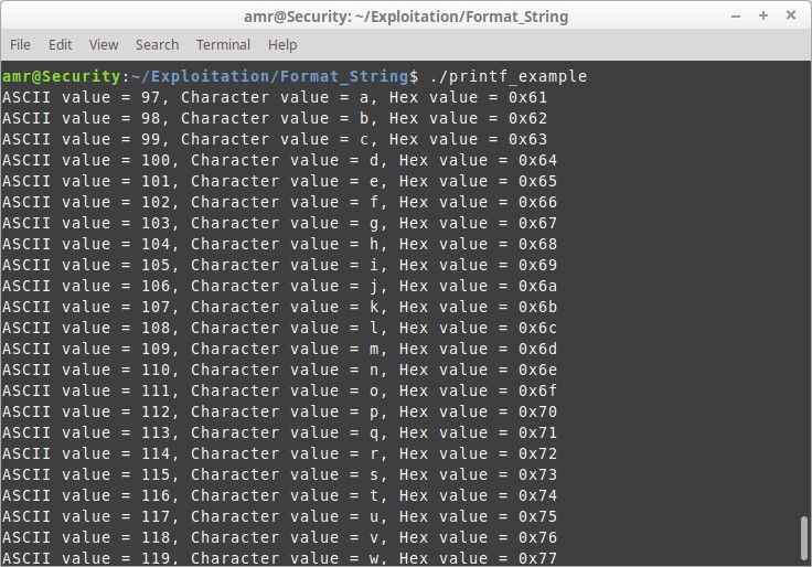 Format String Vulnerability What, When and How? Buffer Overflows