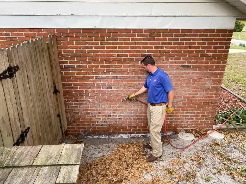 Termite Bond in Florida What You Should Know