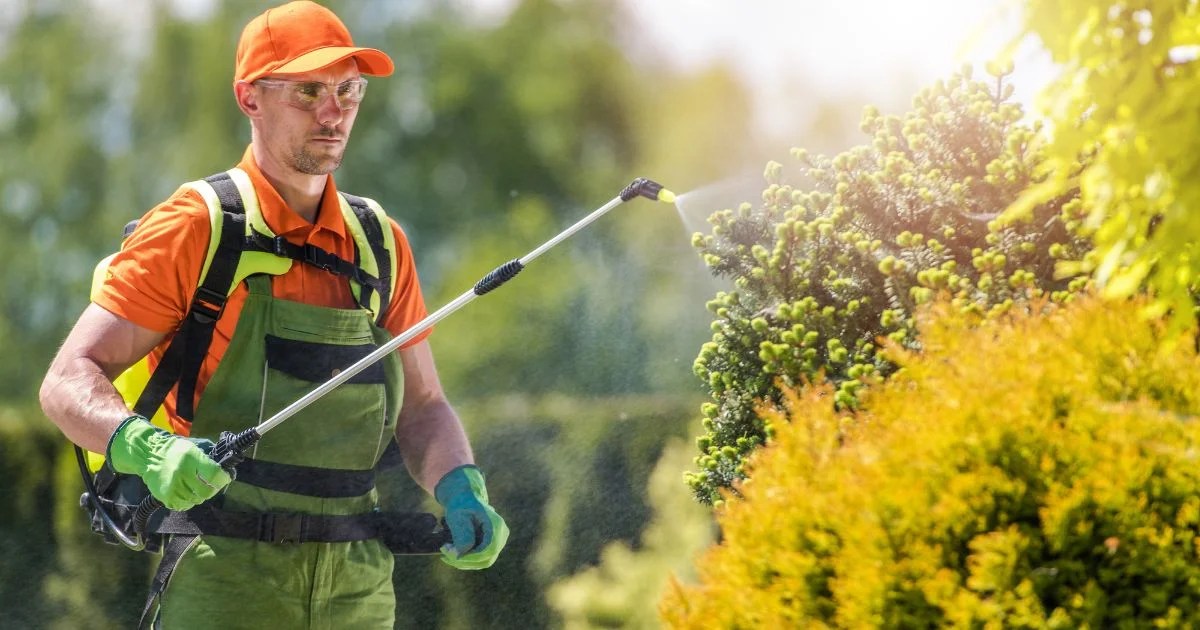 Best Insecticide for White Flies