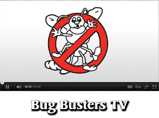 Bug Out Pest Control Fayetteville Nc Pest Control