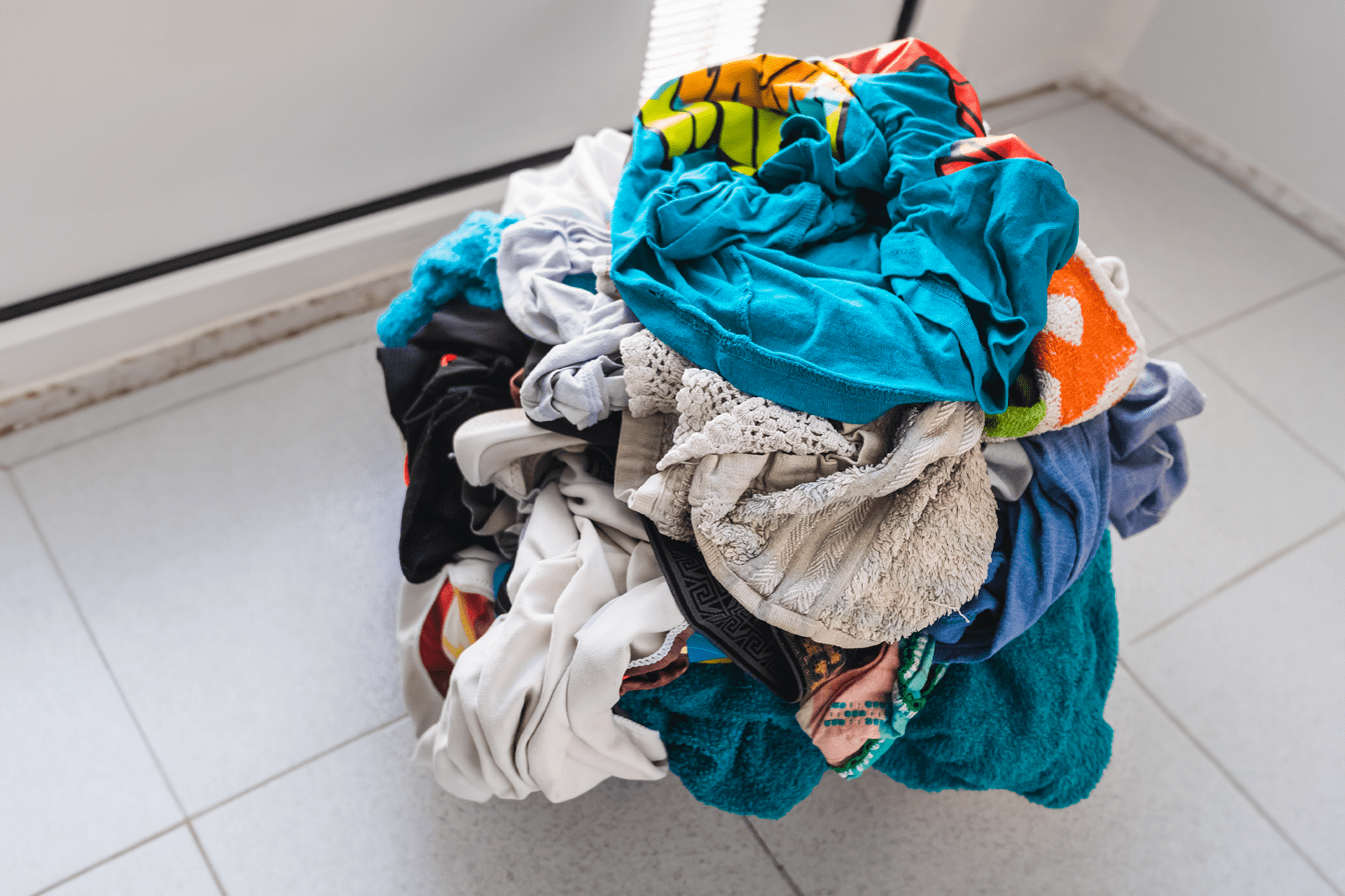 Do Cockroaches Hide in Clothes? Bug Domain