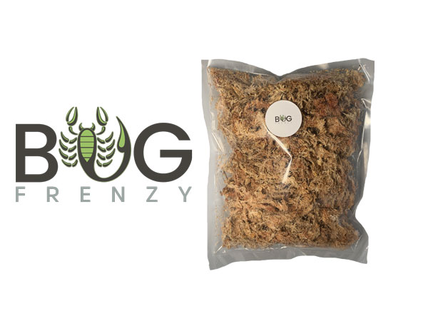 Sphagnum Moss Online Bug Shop Adelaide Invertebrate Supplies