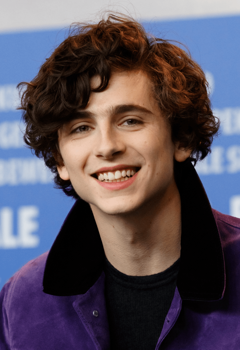 Timothee Chalamet Wikipedia Bio And Ethnicity Where Is The Actor From
