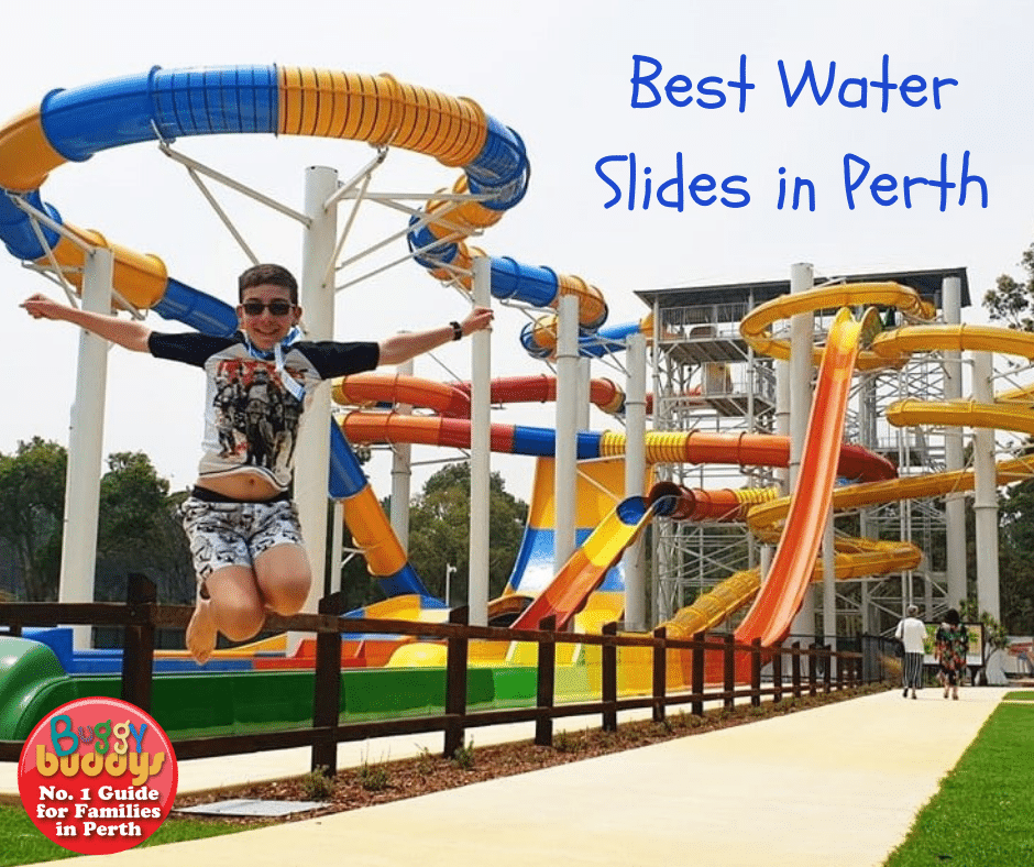 The Best Water Slides in Perth Buggybuddys guide to Perth