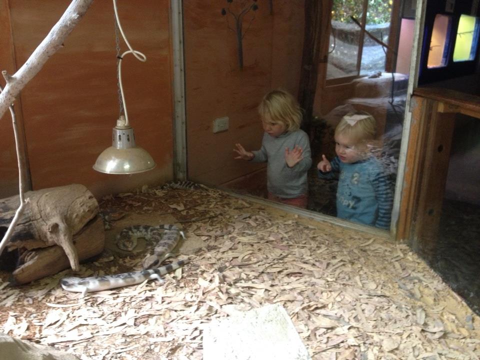 West Australian Reptile Park, Swan Valley Buggybuddys guide to Perth