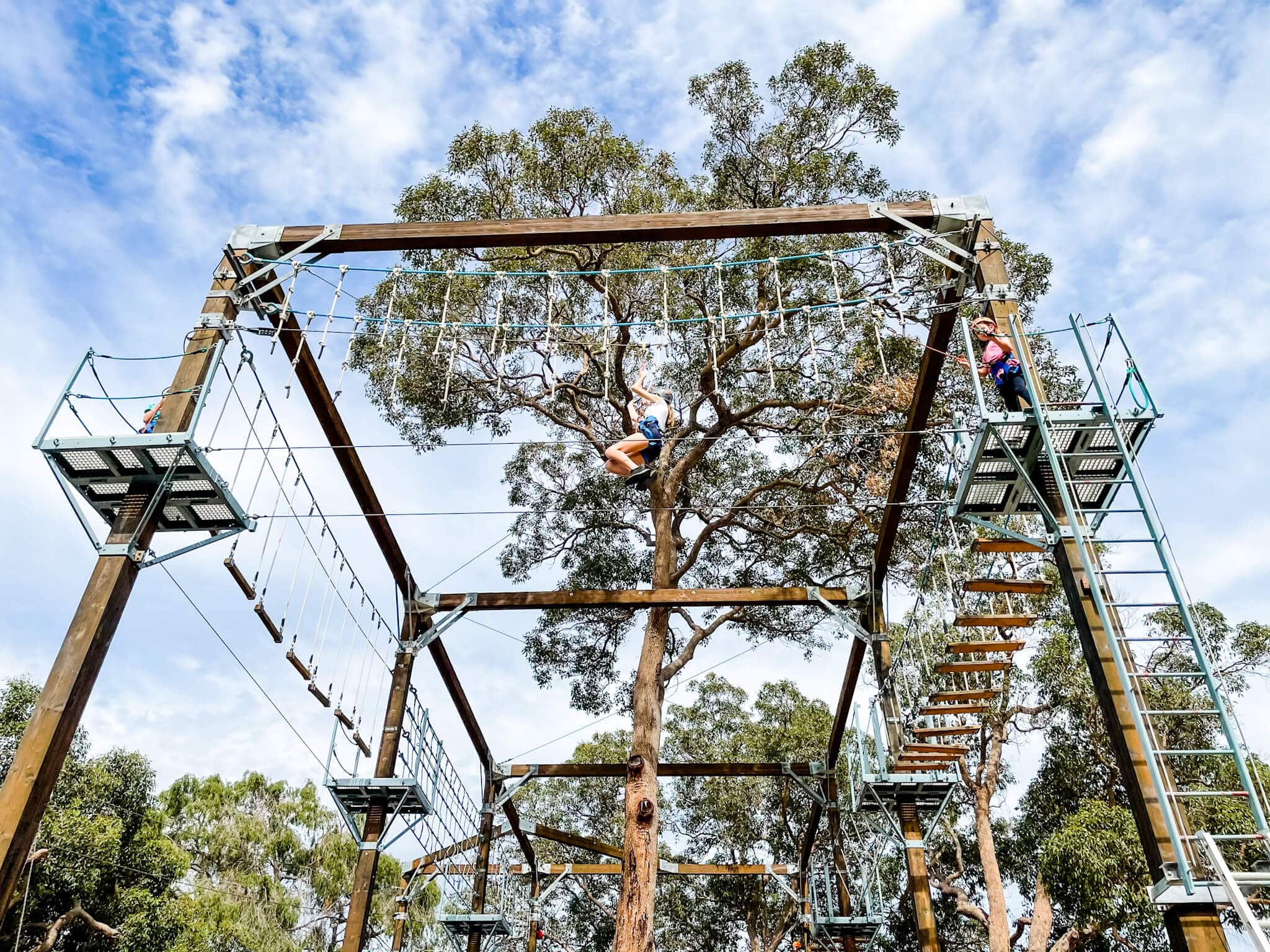 The Climb Zone at Kerem Adventure Camp, Bullsbrook Buggybuddys guide