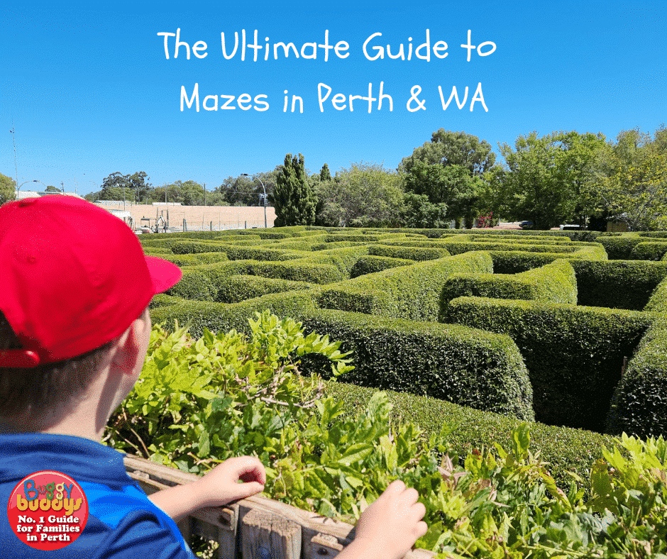 The Best Mazes in Perth and WA Buggybuddys guide to Perth