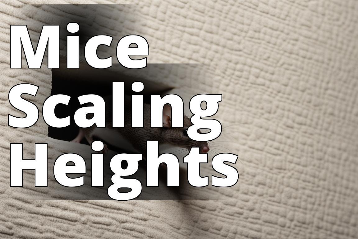 Mice Climbing Walls How to Stop Infestations in Their Tracks