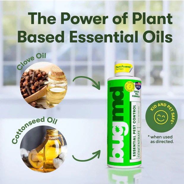 Essential Pest Concentrate–Powered by Clove Oil & Cottonseed Oil – bugmd