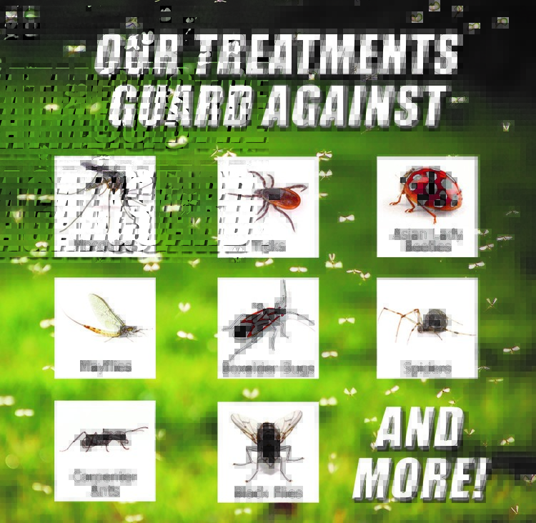 Insect Control Jobs, Minnesota