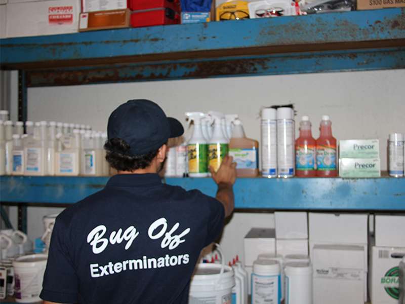 About Bug Off Exterminators in Fort Lauderdale, South Florida