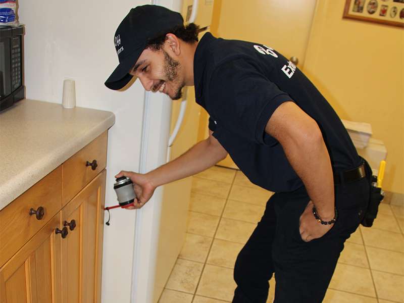 Pest Control Jobs Fort Lauderdale Fl Fort lauderdale pest control