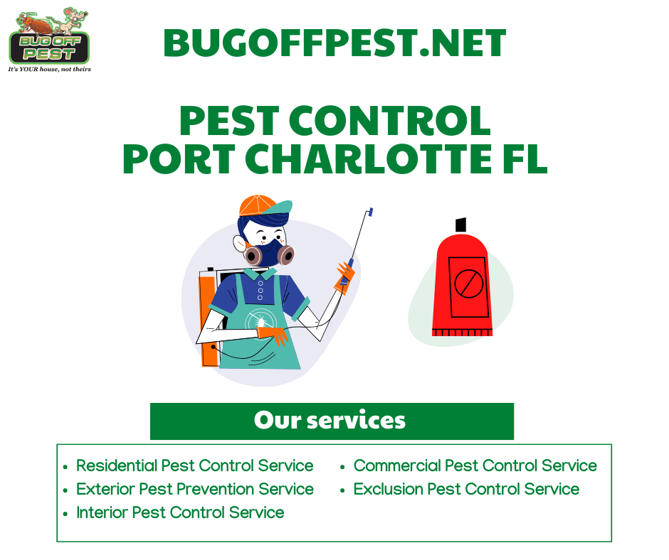 8 DIY Pest Control Tips Bug Off Pest