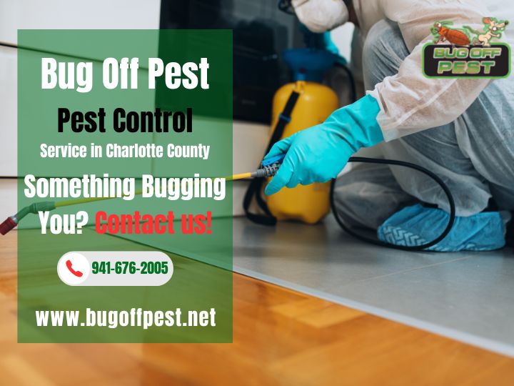 The Importance of Professional Pest Control Services in Port Charlotte