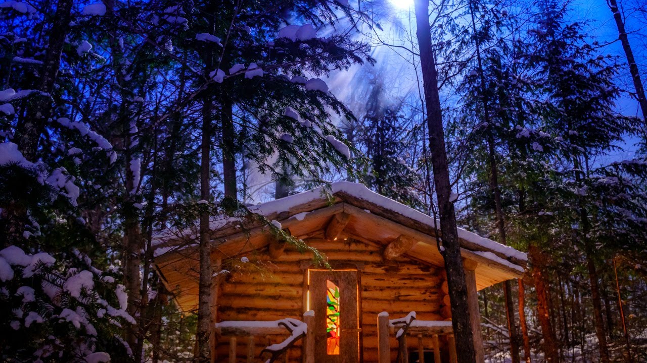 In the Forest with my Wife and Dog Off Grid Log Cabin in the