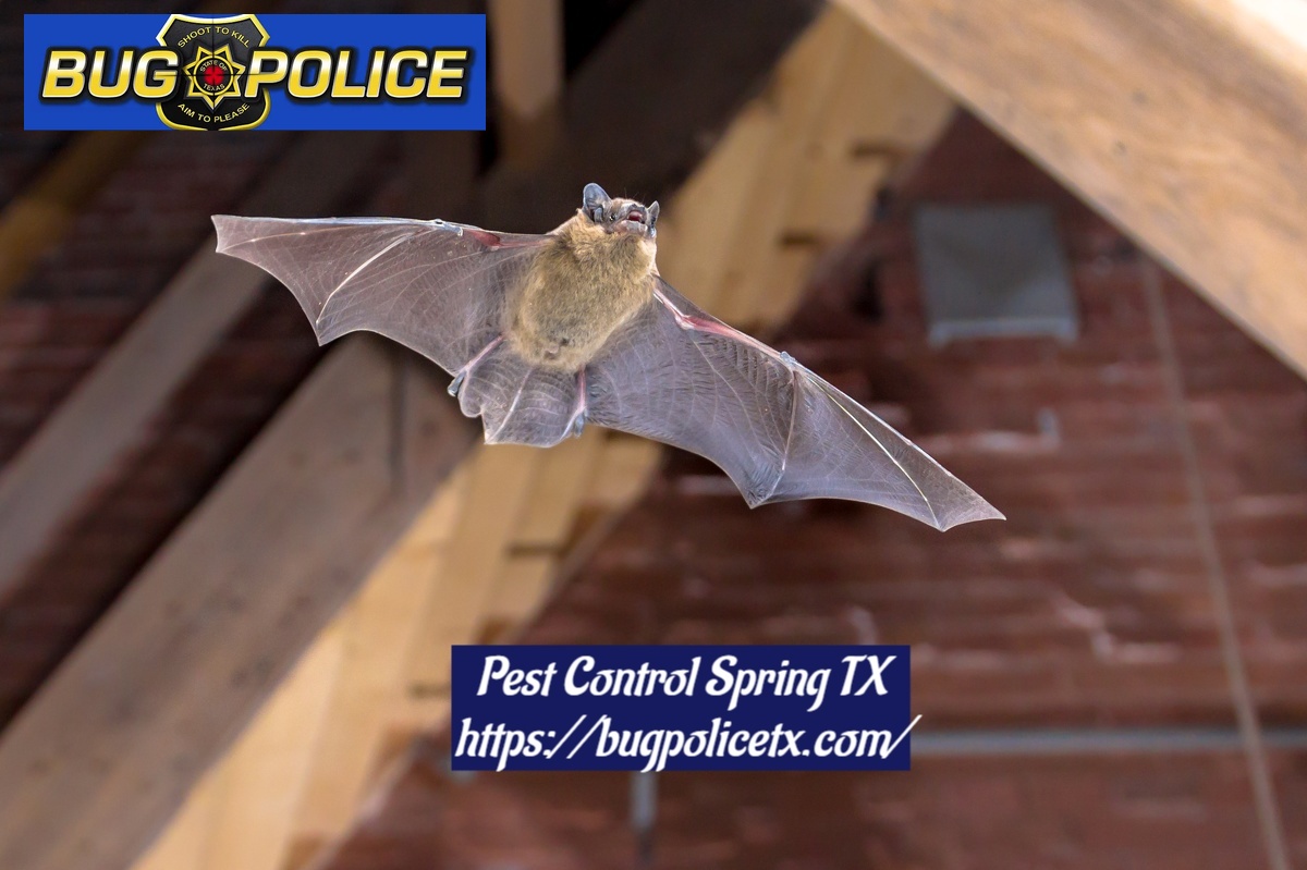 Pest Control Bug Police Spring TX