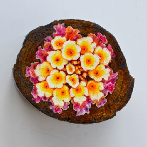 Flora Wooden Coin Box