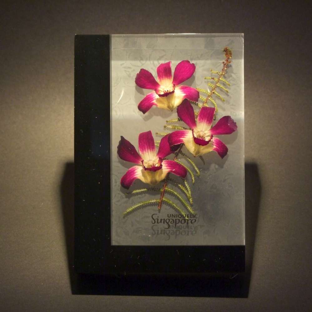 Acrylic embedded orchid souvenirs