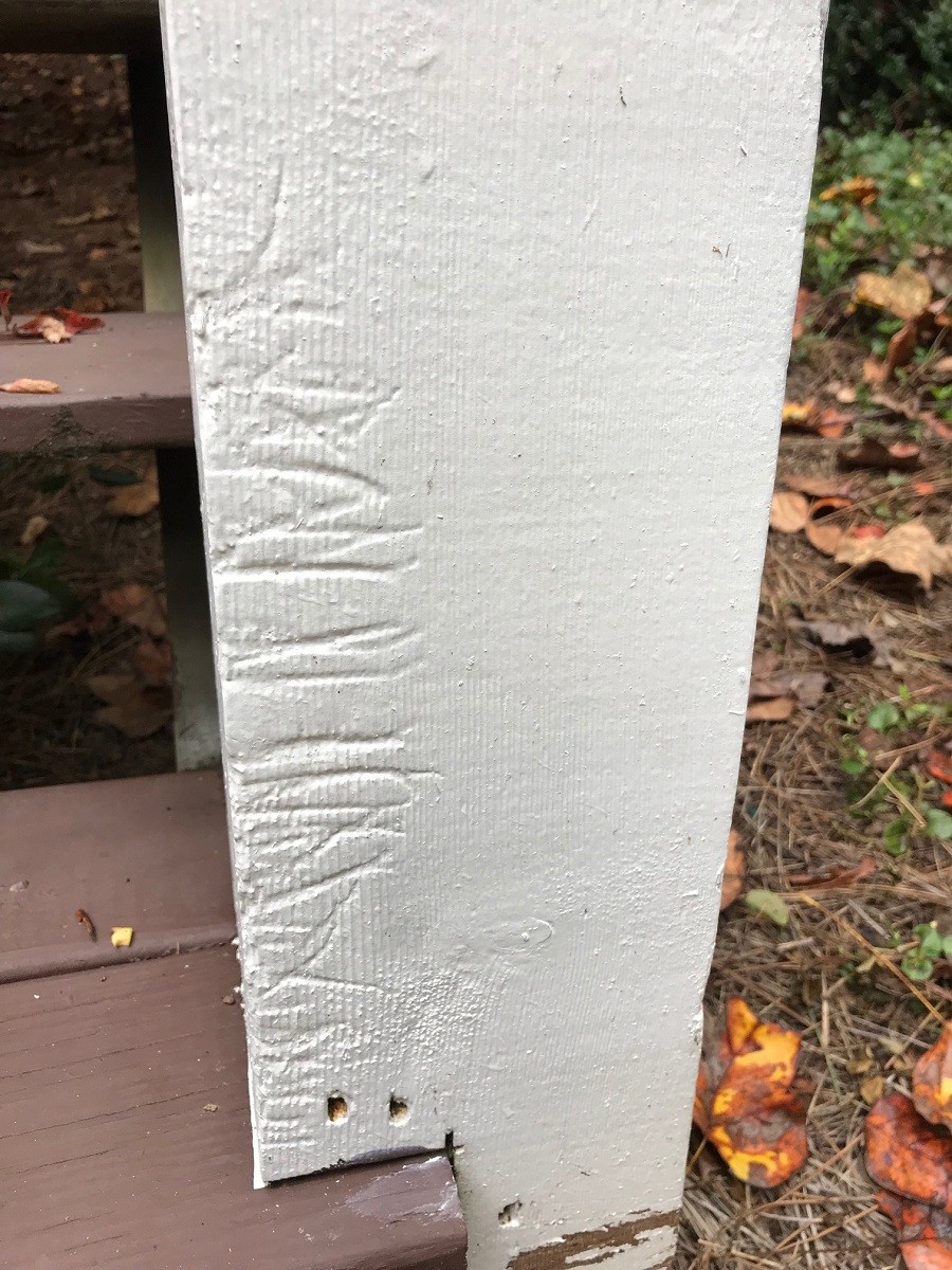 How To Fix Chew Marks On Door Frame