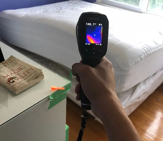 Wasp Control Vaughan, ON Guaranteed Wasp Removal Services Bugs Heat