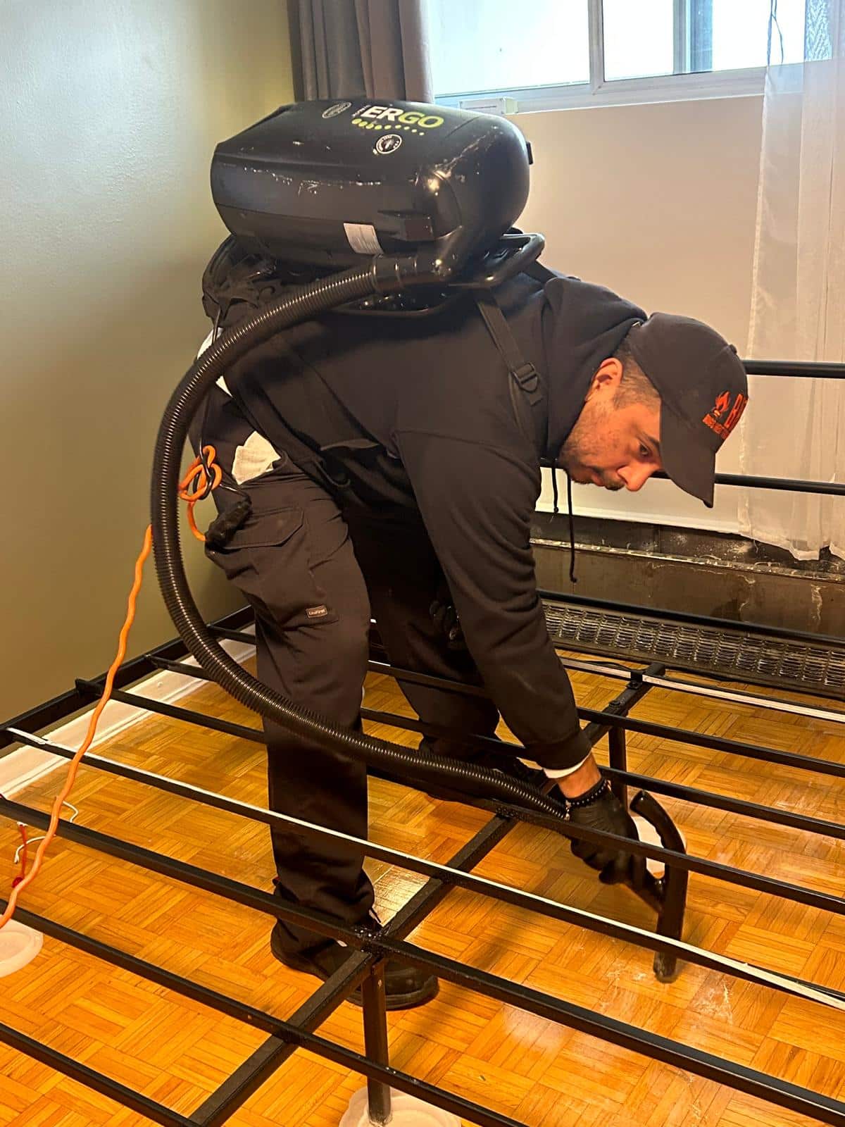 Wasp Control and Nest Removal Mississauga at Bugs Heat Terminator