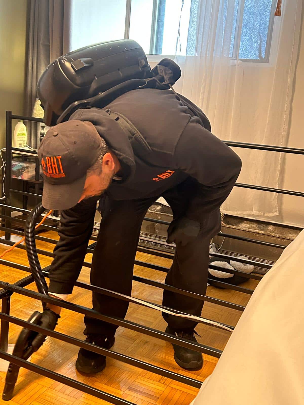 Wasp Control and Nest Removal Mississauga at Bugs Heat Terminator