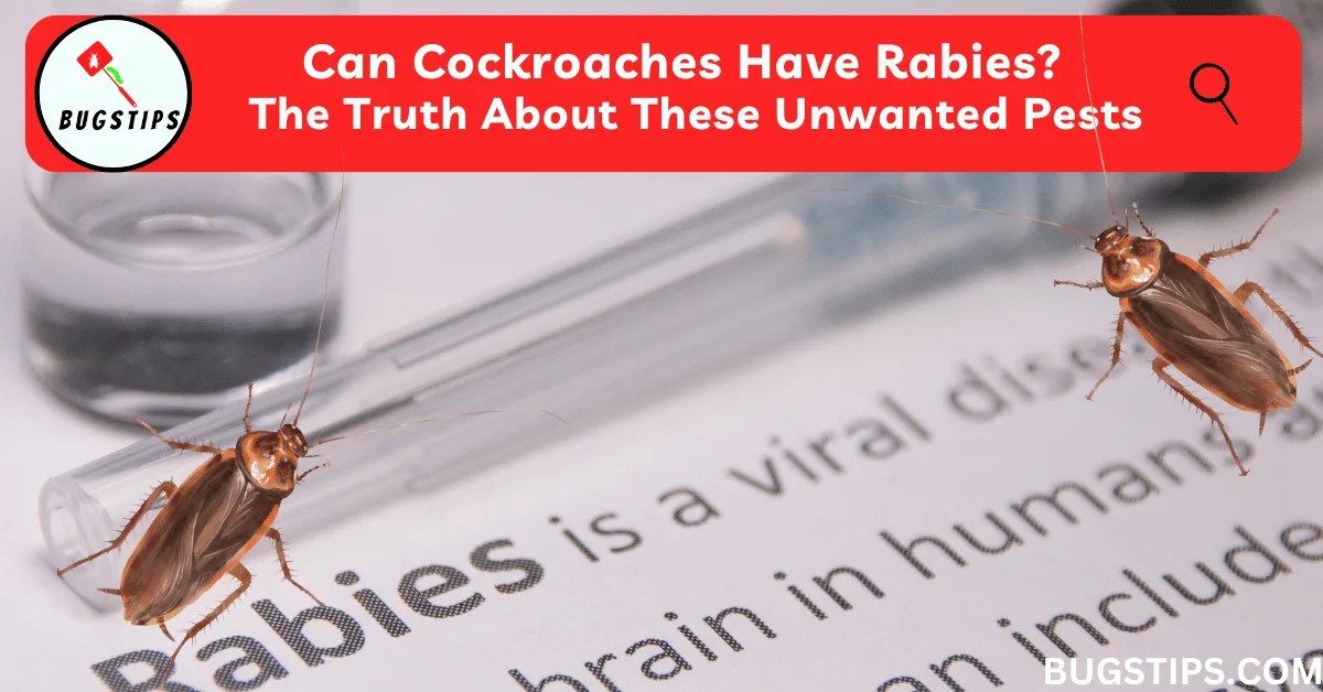 Can Cockroaches Have Rabies? The Truth About These Unwanted Pests