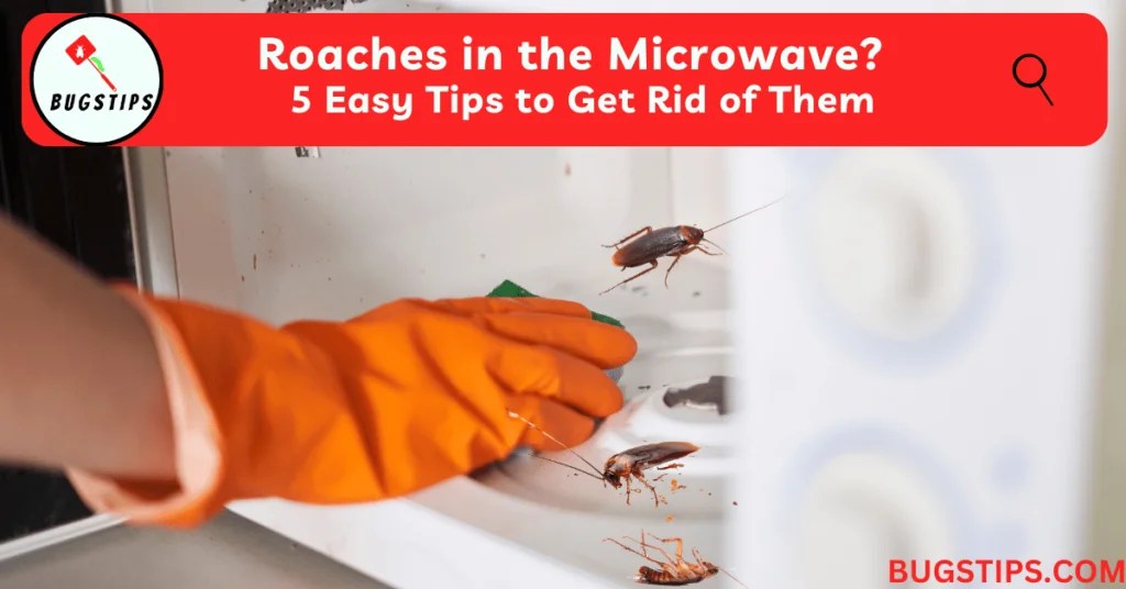 Roaches in the Microwave? 5 Easy Tips to Get Rid of Them BugsTips