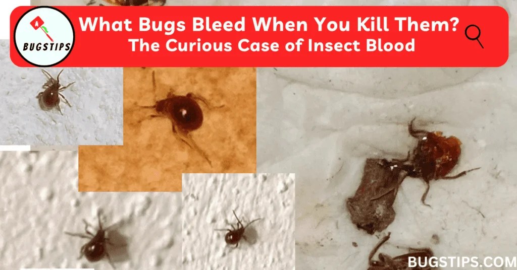 What Bugs Bleed When You Kill Them? BugsTips