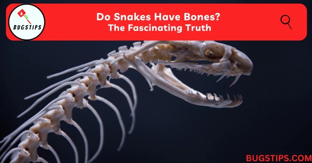 Do Snakes Have Bones? The Fascinating Truth BugsTips